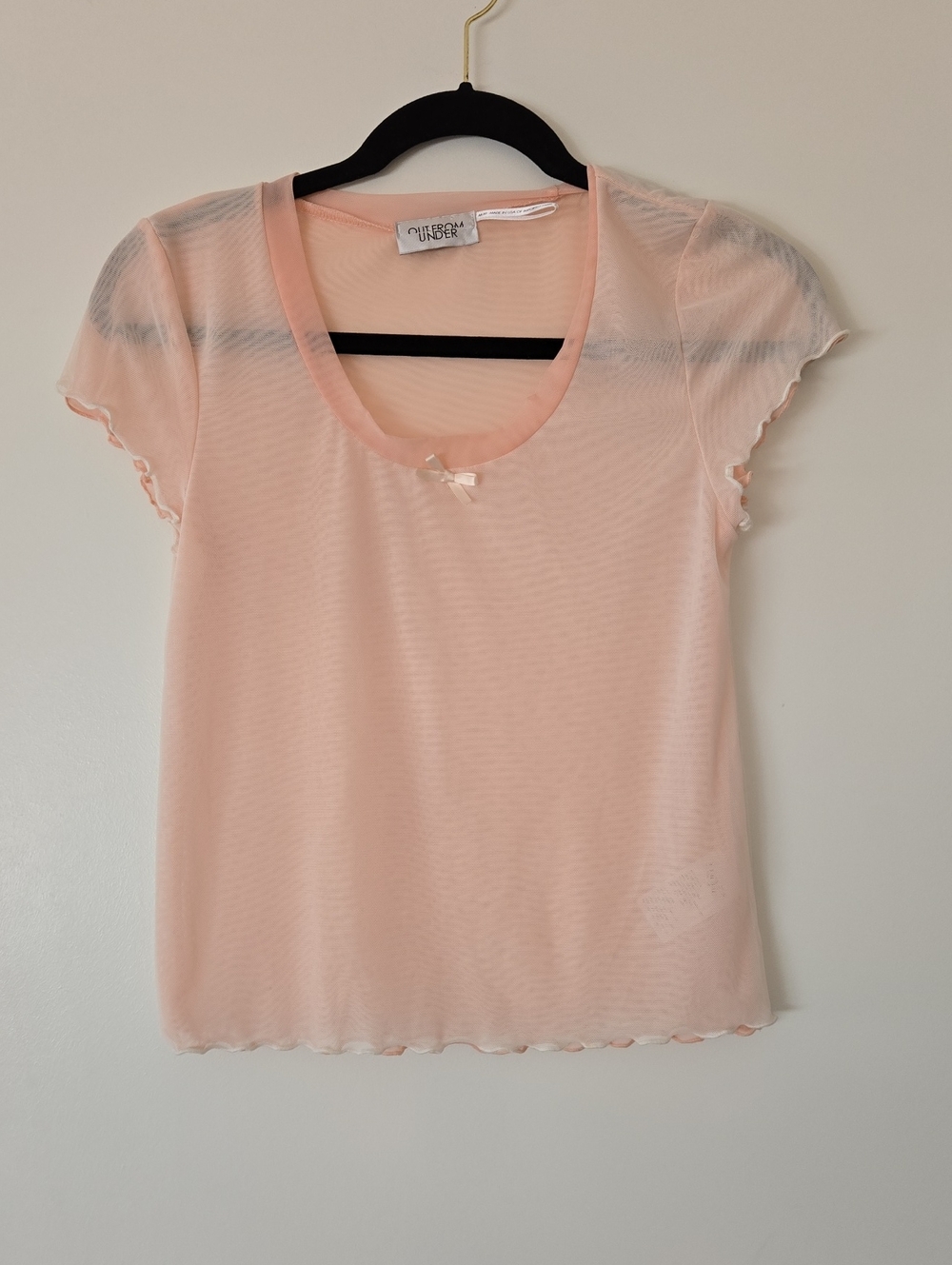 Sheer Scoop Neck Top - Blush Pink